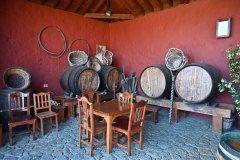 casa del vino, el sauzal