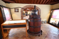 museo del vino, casa del vino, el sauzal