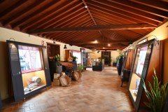 museo del vino, casa del vino, el sauzal