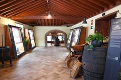 museo del vino, casa del vino, el sauzal