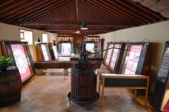 museo del vino, casa del vino, el sauzal