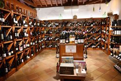 tienda de vino, casa del vino, el sauzal