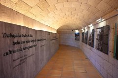 casa del vino, el sauzal