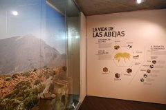 casa de la miel, casa del vino, el sauzal