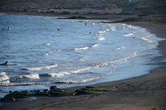 playa de el medano