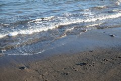 playa de el medano