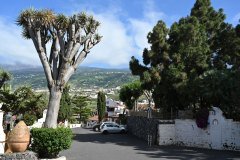 el monasterio de san pedro, la montañeta