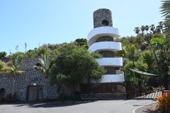 el palmetum, santa cruz de tenerife