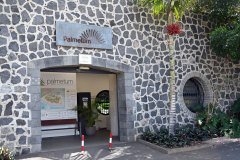 el palmetum, santa cruz de tenerife