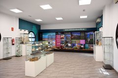 el palmetum, santa cruz de tenerife