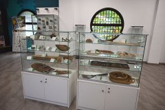 el palmetum, santa cruz de tenerife