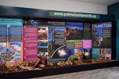 el palmetum, santa cruz de tenerife