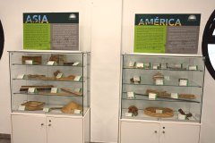 el palmetum, santa cruz de tenerife