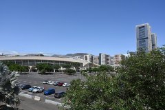 el palmetum, santa cruz de tenerife