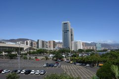 el palmetum, santa cruz de tenerife