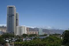 el palmetum, santa cruz de tenerife