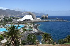 el palmetum, santa cruz de tenerife
