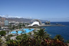 el palmetum, santa cruz de tenerife