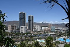 el palmetum, santa cruz de tenerife