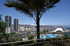 el palmetum, santa cruz de tenerife