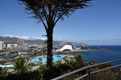 el palmetum, santa cruz de tenerife