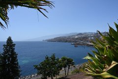 el palmetum, santa cruz de tenerife