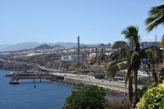 el palmetum, santa cruz de tenerife