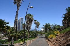 el palmetum, santa cruz de tenerife