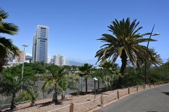 el palmetum, santa cruz de tenerife