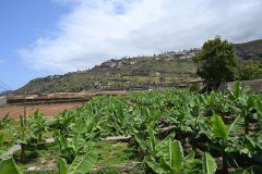 el rincón, la orotava