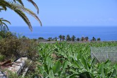 el rincón, la orotava