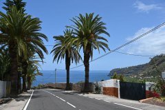 el rincón, la orotava