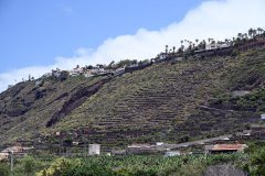 el rincón, la orotava