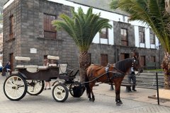 plaza de la libertad, garachico