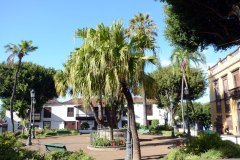 plaza de la pila, icod de los vinos
