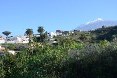 vista al teide, icod de los vinos