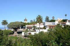 drago milenario, icod de los vinos