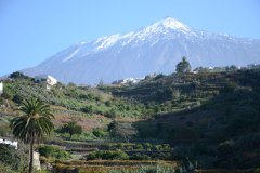 vista al teide, icod de los vinos