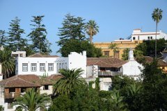 icod de los vinos