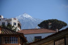 vista al teide, icod de los vinos