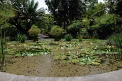 jardín botánico, puerto de la cruz