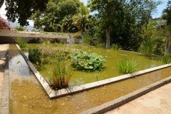 jardín botánico, puerto de la cruz