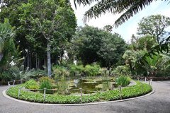 jardín botánico, puerto de la cruz