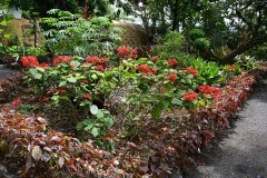 jardín botánico, puerto de la cruz