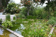 jardín botánico, puerto de la cruz
