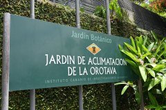 jardín botánico, puerto de la cruz