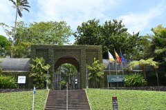 jardín botánico, puerto de la cruz