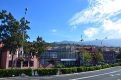 mercadillo del agricultor, la matanza