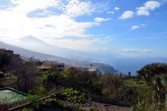 vista al teide, la matanza