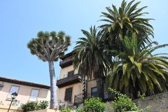 casa lercaro, la orotava